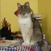 Отзыв от Катя Нечаева